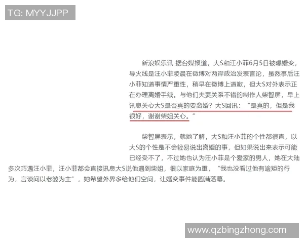 鹤辞最佳战损的背后故事与启示解析