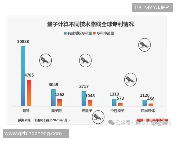 探索CS2carryNucleonZ在量子计算中的应用与前景分析